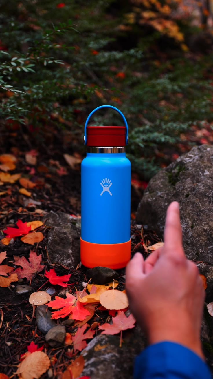 Owala FreeSip Insulated Stainless Steel Water Bottle